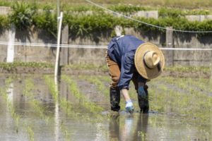 台湾労務:台湾の65歳以上の勤務率は8.8%